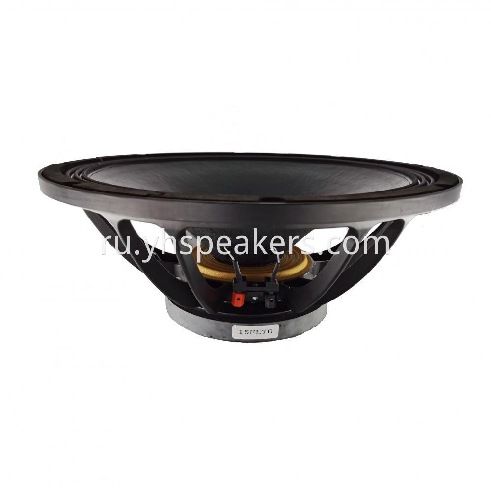 15" Professional Audio Video Speaker